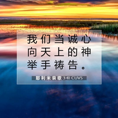 Picture 07 - 耶 利 米 哀 歌 3:41 CUVS - 我 们 当 诚 心 向 天 上 的 神 举 手 - Bible Verse Picture