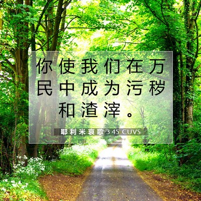 Picture 07 - 耶 利 米 哀 歌 3:45 CUVS - 你 使 我 们 在 万 民 中 成 为 污 秽 - Bible Verse Picture