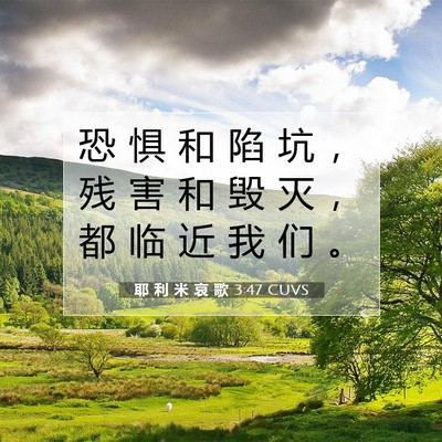 Picture 07 - 耶 利 米 哀 歌 3:47 CUVS - 恐 惧 和 陷 坑 ， 残 害 和 毁 灭 ， - Bible Verse Picture