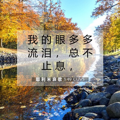 Picture 07 - 耶 利 米 哀 歌 3:49 CUVS - 我 的 眼 多 多 流 泪 ， 总 不 止 息 - Bible Verse Picture