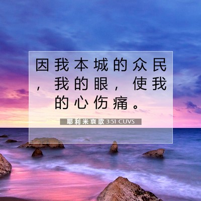 Picture 07 - 耶 利 米 哀 歌 3:51 CUVS - 因 我 本 城 的 众 民 ， 我 的 眼 ， - Bible Verse Picture