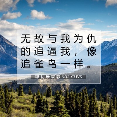 Picture 07 - 耶 利 米 哀 歌 3:52 CUVS - 无 故 与 我 为 仇 的 追 逼 我 ， 像 - Bible Verse Picture