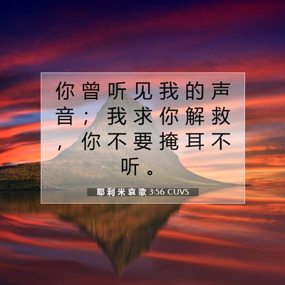 Picture 07 - 耶 利 米 哀 歌 3:56 CUVS - 你 曾 听 见 我 的 声 音 ； 我 求 你 - Bible Verse Picture