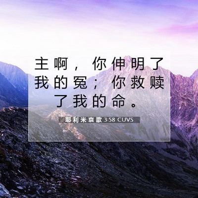 Picture 07 - 耶 利 米 哀 歌 3:58 CUVS - 主 啊 ， 你 伸 明 了 我 的 冤 ； 你 - Bible Verse Picture