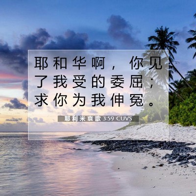 Picture 07 - 耶 利 米 哀 歌 3:59 CUVS - 耶 和 华 啊 ， 你 见 了 我 受 的 委 - Bible Verse Picture