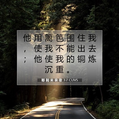 Picture 07 - 耶 利 米 哀 歌 3:7 CUVS - 他 用 篱 笆 围 住 我 ， 使 我 不 能 - Bible Verse Picture