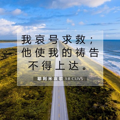 Picture 07 - 耶 利 米 哀 歌 3:8 CUVS - 我 哀 号 求 救 ； 他 使 我 的 祷 告 - Bible Verse Picture