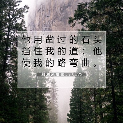 Picture 07 - 耶 利 米 哀 歌 3:9 CUVS - 他 用 凿 过 的 石 头 挡 住 我 的 道 - Bible Verse Picture