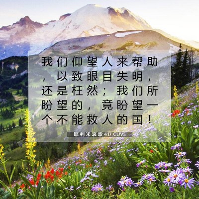 Picture 07 - 耶 利 米 哀 歌 4:17 CUVS - 我 们 仰 望 人 来 帮 助 ， 以 致 眼 - Bible Verse Picture