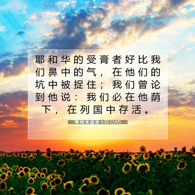 Picture 07 - 耶 利 米 哀 歌 4:20 CUVS - 耶 和 华 的 受 膏 者 好 比 我 们 鼻 - Bible Verse Picture