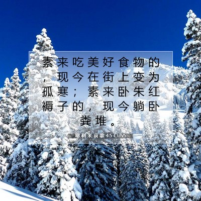 Picture 07 - 耶 利 米 哀 歌 4:5 CUVS - 素 来 吃 美 好 食 物 的 ， 现 今 在 - Bible Verse Picture