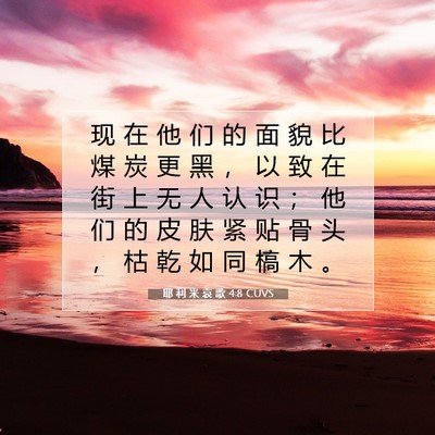 Picture 07 - 耶 利 米 哀 歌 4:8 CUVS - 现 在 他 们 的 面 貌 比 煤 炭 更 黑 - Bible Verse Picture