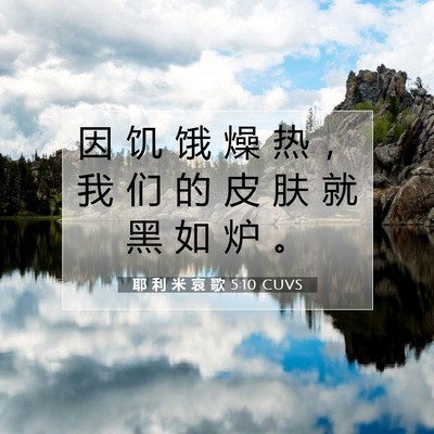 Picture 07 - 耶 利 米 哀 歌 5:10 CUVS - 因 饥 饿 燥 热 ， 我 们 的 皮 肤 就 - Bible Verse Picture