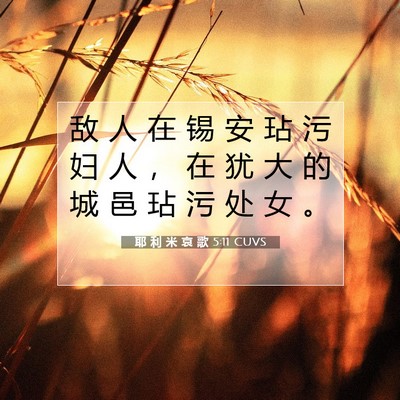 Picture 07 - 耶 利 米 哀 歌 5:11 CUVS - 敌 人 在 锡 安 玷 污 妇 人 ， 在 犹 - Bible Verse Picture