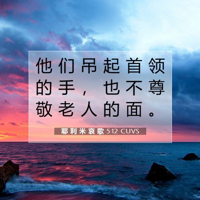 Picture 07 - 耶 利 米 哀 歌 5:12 CUVS - 他 们 吊 起 首 领 的 手 ， 也 不 尊 - Bible Verse Picture