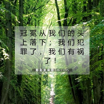 Picture 07 - 耶 利 米 哀 歌 5:16 CUVS - 冠 冕 从 我 们 的 头 上 落 下 ； 我 - Bible Verse Picture