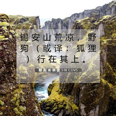 Picture 07 - 耶 利 米 哀 歌 5:18 CUVS - 锡 安 山 荒 凉 ， 野 狗 （ 或 译 ： - Bible Verse Picture