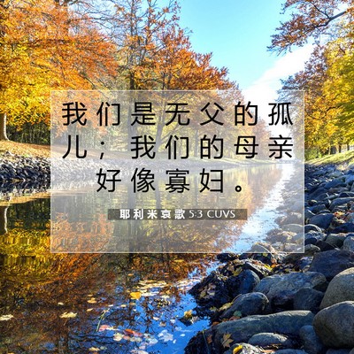 Picture 07 - 耶 利 米 哀 歌 5:3 CUVS - 我 们 是 无 父 的 孤 儿 ； 我 们 的 - Bible Verse Picture