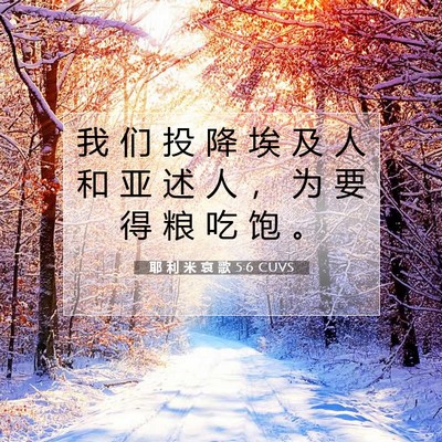 Picture 07 - 耶 利 米 哀 歌 5:6 CUVS - 我 们 投 降 埃 及 人 和 亚 述 人 ， - Bible Verse Picture
