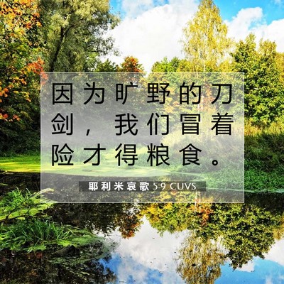 Picture 07 - 耶 利 米 哀 歌 5:9 CUVS - 因 为 旷 野 的 刀 剑 ， 我 们 冒 着 - Bible Verse Picture