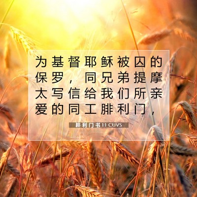 Picture 07 - 腓 利 门 书 1:1 CUVS - 为 基 督 耶 稣 被 囚 的 保 罗 ， 同 - Bible Verse Picture