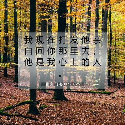 Picture 07 - 腓 利 门 书 1:12 CUVS - 我 现 在 打 发 他 亲 自 回 你 那 里 - Bible Verse Picture