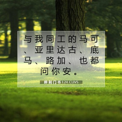 Picture 07 - 腓 利 门 书 1:24 CUVS - 与 我 同 工 的 马 可 、 亚 里 达 古 - Bible Verse Picture