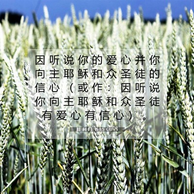 Picture 07 - 腓 利 门 书 1:5 CUVS - 因 听 说 你 的 爱 心 并 你 向 主 耶 - Bible Verse Picture