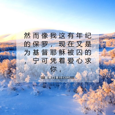 Picture 07 - 腓 利 门 书 1:9 CUVS - 然 而 像 我 这 有 年 纪 的 保 罗 ， - Bible Verse Picture