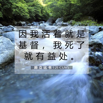 Picture 07 - 腓 立 比 书 1:21 CUVS - 因 我 活 着 就 是 基 督 ， 我 死 了 - Bible Verse Picture