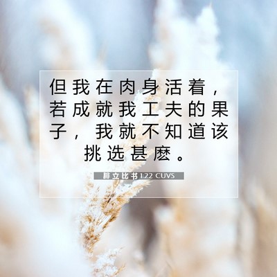 Picture 07 - 腓 立 比 书 1:22 CUVS - 但 我 在 肉 身 活 着 ， 若 成 就 我 - Bible Verse Picture