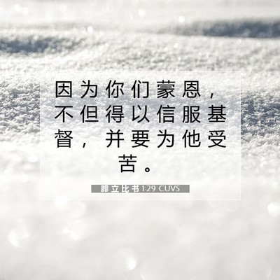 Picture 07 - 腓 立 比 书 1:29 CUVS - 因 为 你 们 蒙 恩 ， 不 但 得 以 信 - Bible Verse Picture