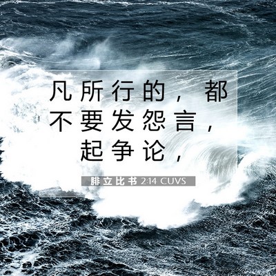 Picture 07 - 腓 立 比 书 2:14 CUVS - 凡 所 行 的 ， 都 不 要 发 怨 言 ， - Bible Verse Picture