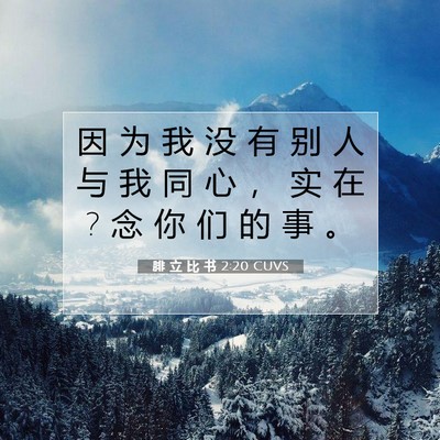 Picture 07 - 腓 立 比 书 2:20 CUVS - 因 为 我 没 有 别 人 与 我 同 心 ， - Bible Verse Picture