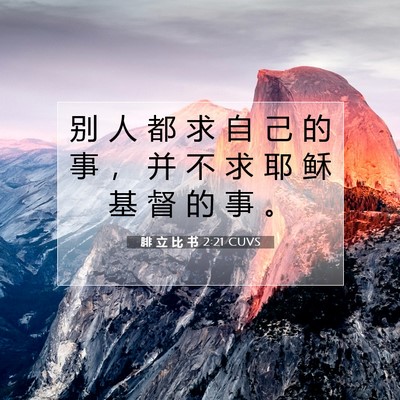 Picture 07 - 腓 立 比 书 2:21 CUVS - 别 人 都 求 自 己 的 事 ， 并 不 求 - Bible Verse Picture