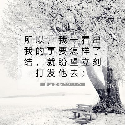 Picture 07 - 腓 立 比 书 2:23 CUVS - 所 以 ， 我 一 看 出 我 的 事 要 怎 - Bible Verse Picture