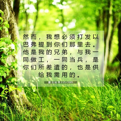 Picture 07 - 腓 立 比 书 2:25 CUVS - 然 而 ， 我 想 必 须 打 发 以 巴 弗 - Bible Verse Picture