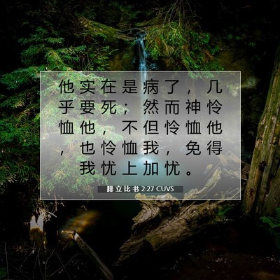 Picture 07 - 腓 立 比 书 2:27 CUVS - 他 实 在 是 病 了 ， 几 乎 要 死 ； - Bible Verse Picture