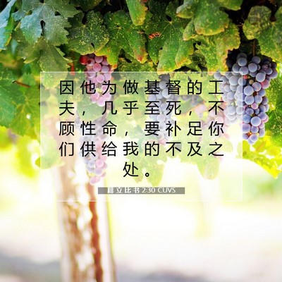 Picture 07 - 腓 立 比 书 2:30 CUVS - 因 他 为 做 基 督 的 工 夫 ， 几 乎 - Bible Verse Picture
