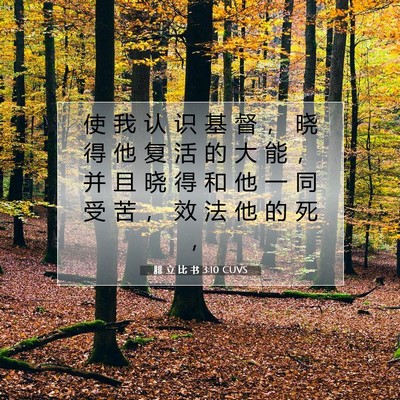 Picture 07 - 腓 立 比 书 3:10 CUVS - 使 我 认 识 基 督 ， 晓 得 他 复 活 - Bible Verse Picture