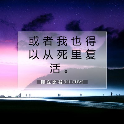 Picture 07 - 腓 立 比 书 3:11 CUVS - 或 者 我 也 得 以 从 死 里 复 活 - Bible Verse Picture