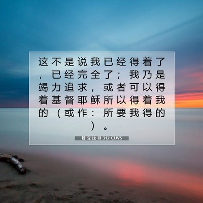 Picture 07 - 腓 立 比 书 3:12 CUVS - 这 不 是 说 我 已 经 得 着 了 ， 已 - Bible Verse Picture