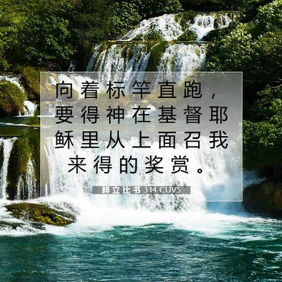 Picture 07 - 腓 立 比 书 3:14 CUVS - 向 着 标 竿 直 跑 ， 要 得 神 在 基 - Bible Verse Picture