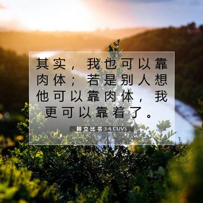 Picture 07 - 腓 立 比 书 3:4 CUVS - 其 实 ， 我 也 可 以 靠 肉 体 ； 若 - Bible Verse Picture