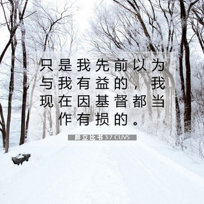 Picture 07 - 腓 立 比 书 3:7 CUVS - 只 是 我 先 前 以 为 与 我 有 益 的 - Bible Verse Picture
