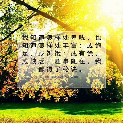 Picture 07 - 腓 立 比 书 4:12 CUVS - 我 知 道 怎 样 处 卑 贱 ， 也 知 道 - Bible Verse Picture