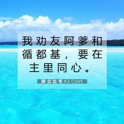 Picture 07 - 腓 立 比 书 4:2 CUVS - 我 劝 友 阿 爹 和 循 都 基 ， 要 在 - Bible Verse Picture