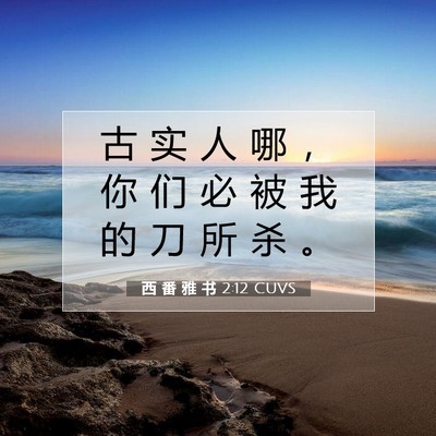 Picture 07 - 西 番 雅 书 2:12 CUVS - 古 实 人 哪 ， 你 们 必 被 我 的 刀 - Bible Verse Picture