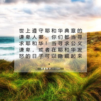 Picture 07 - 西 番 雅 书 2:3 CUVS - 世 上 遵 守 耶 和 华 典 章 的 谦 卑 - Bible Verse Picture