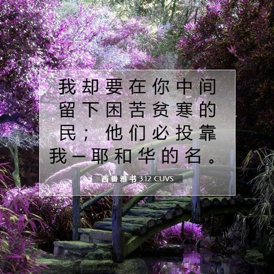 Picture 07 - 西 番 雅 书 3:12 CUVS - 我 却 要 在 你 中 间 留 下 困 苦 贫 - Bible Verse Picture